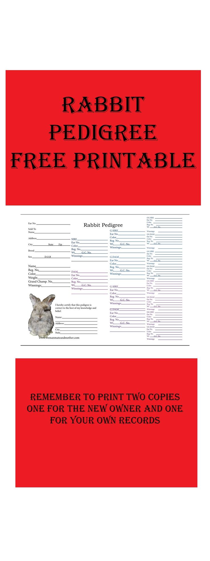 free rabbit pedigree downloads